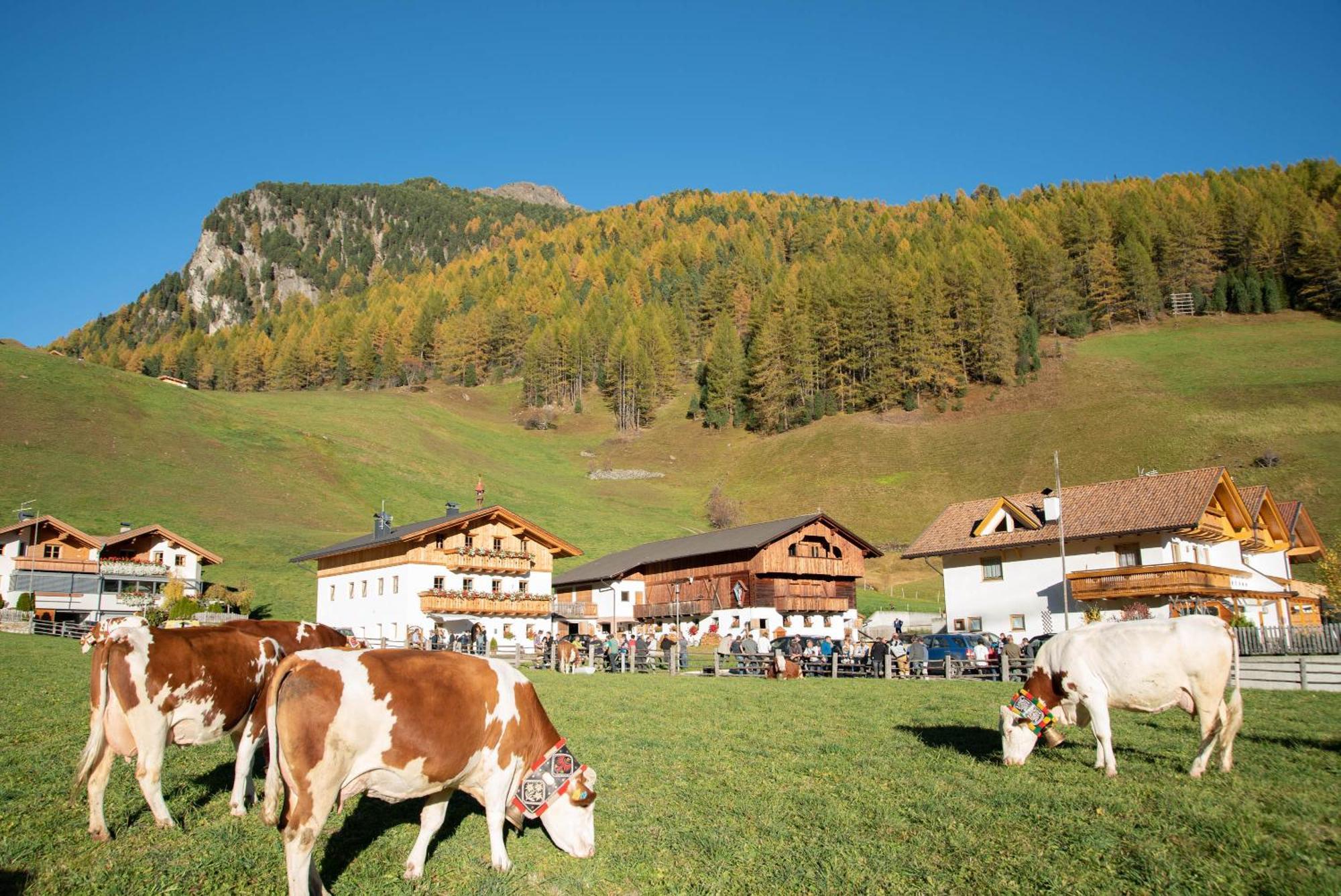 Mooserhof Campo Tures Luaran gambar